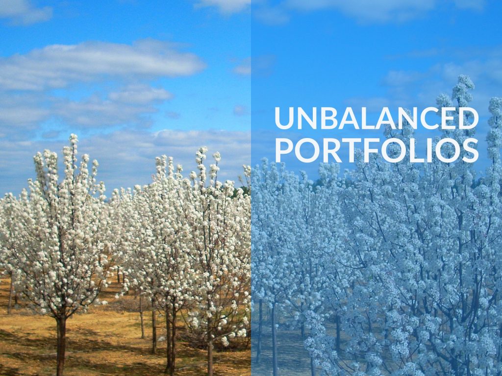 Orchard of trees covered in white blossoms, blue sky above. Caption says "Unbalanced Portfolios." Money For the Rest of Us.