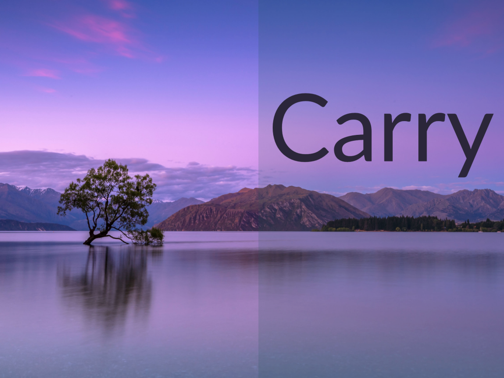 Purple sunset over the Wanaka tree, Otago, New Zealand. A caption that says "Carry." Money Dor the Rest of Us Podcast.