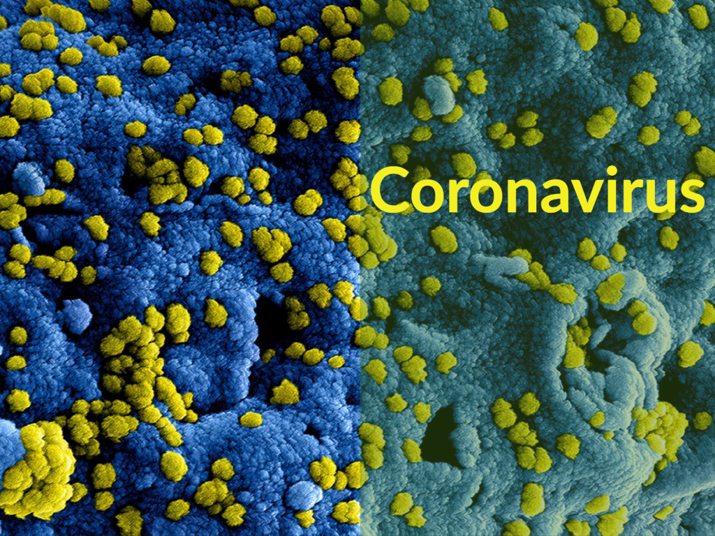 Microscopic image of coronavirus (MERS-CoV). Captions says "Coronavirus". Finance Podcast Money for the Rest of Us. 