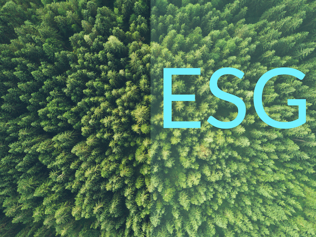 Trees from above with caption ESG