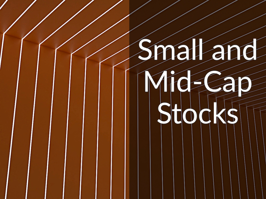 Wall with lines and caption that says "Small and Mid-Cap Stocks"