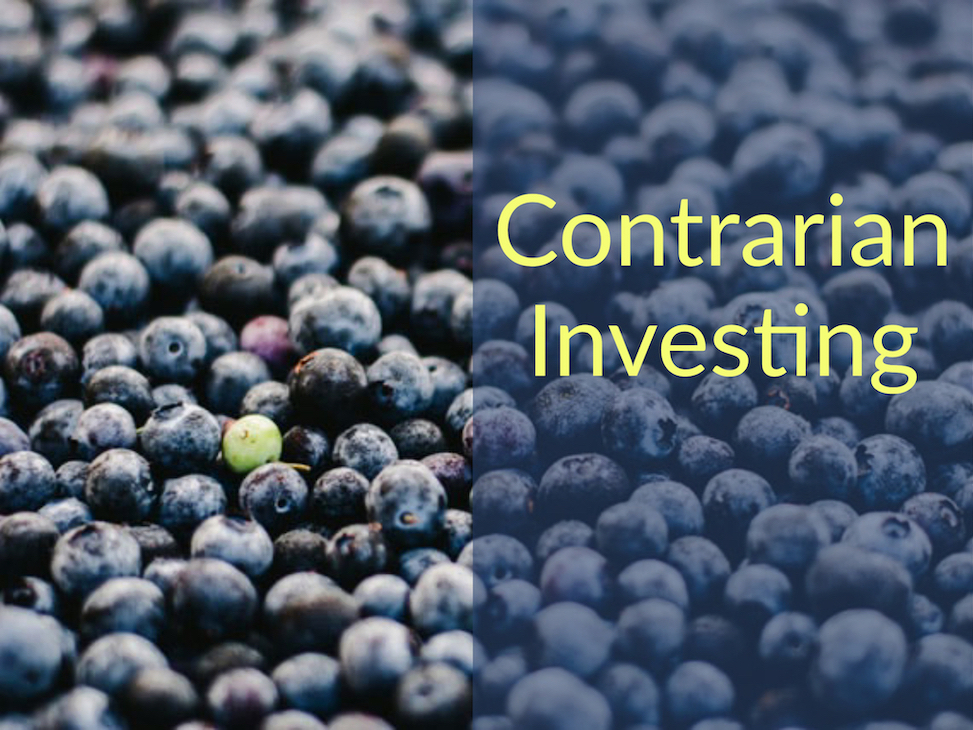 Pile of blueberries with one berry a different color. Caption says "Contrarian Investing" 