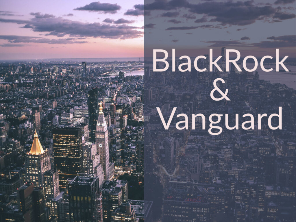 New York City skyline with caption " BlackRock & Vanguard"