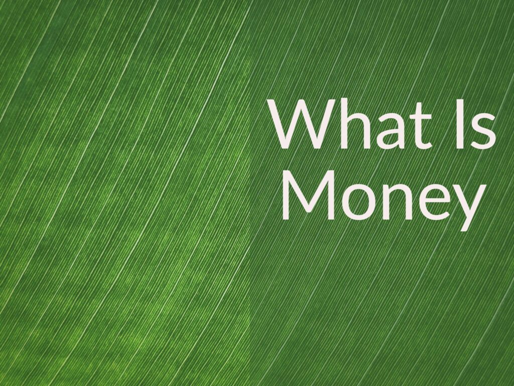 Close up of a green leaf with caption "What Is Money"