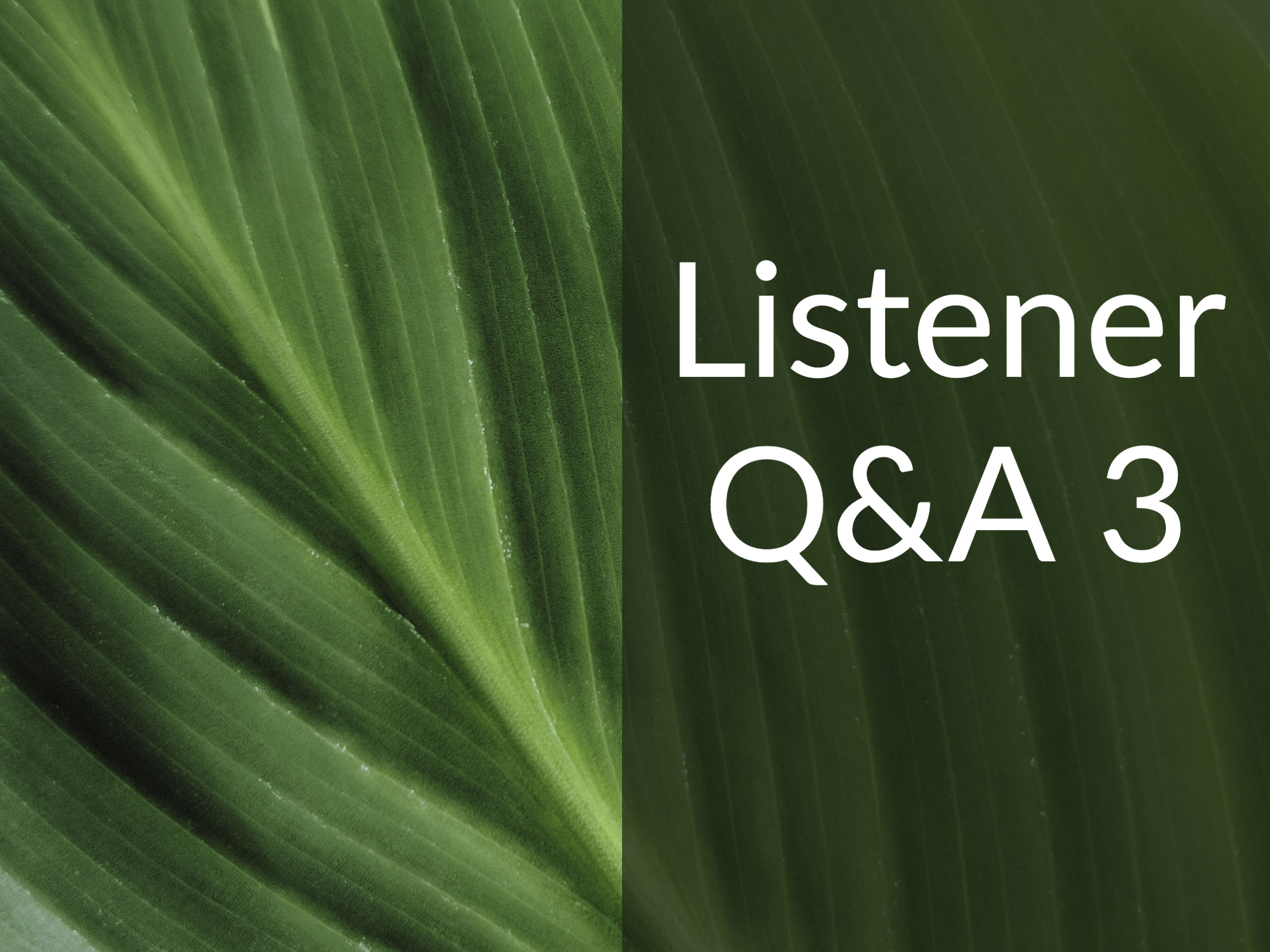 Green leaf with the caption "Listener Q&A 3"
