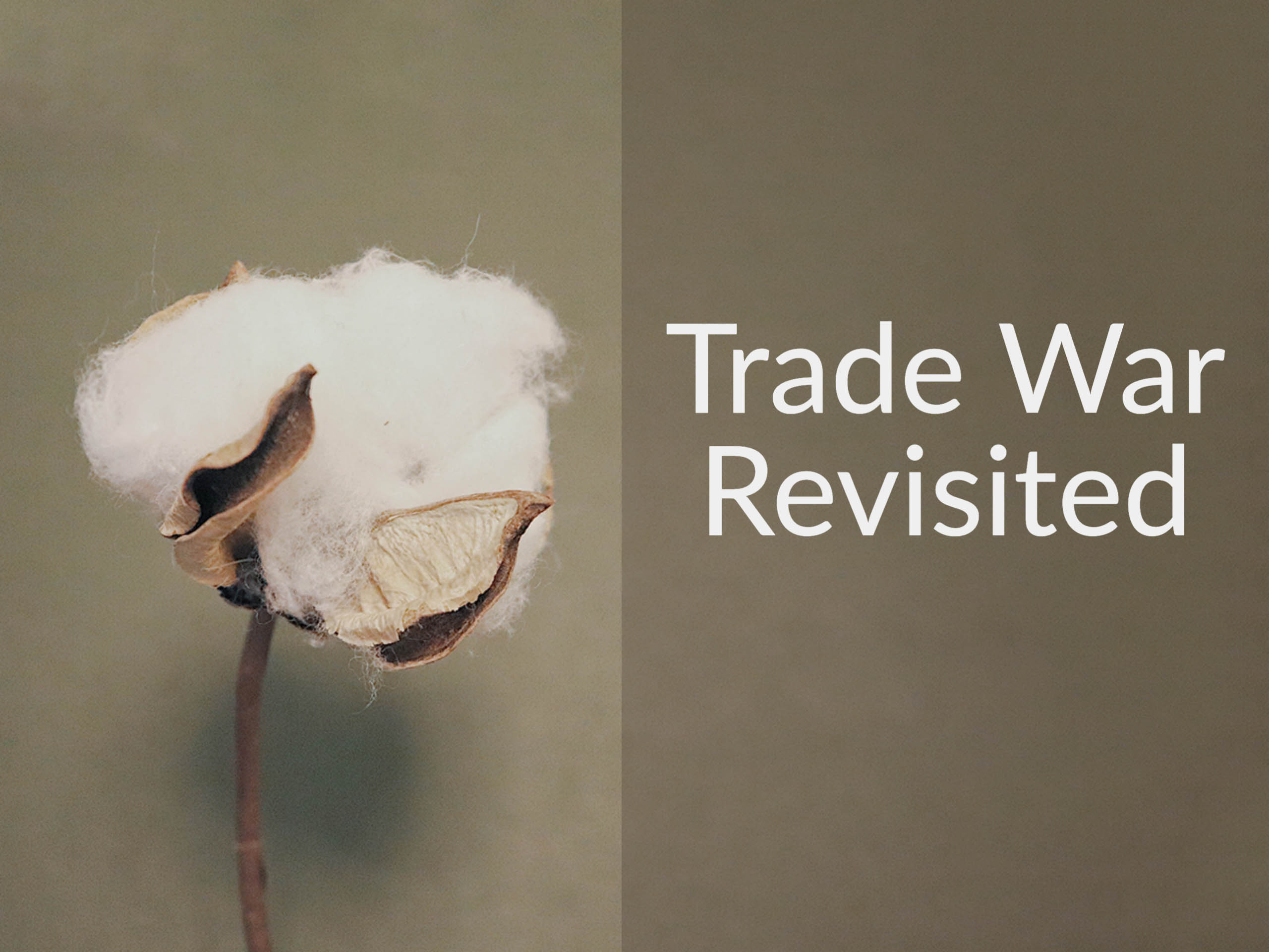 Cotton plant with the caption "Trade War Revisited"