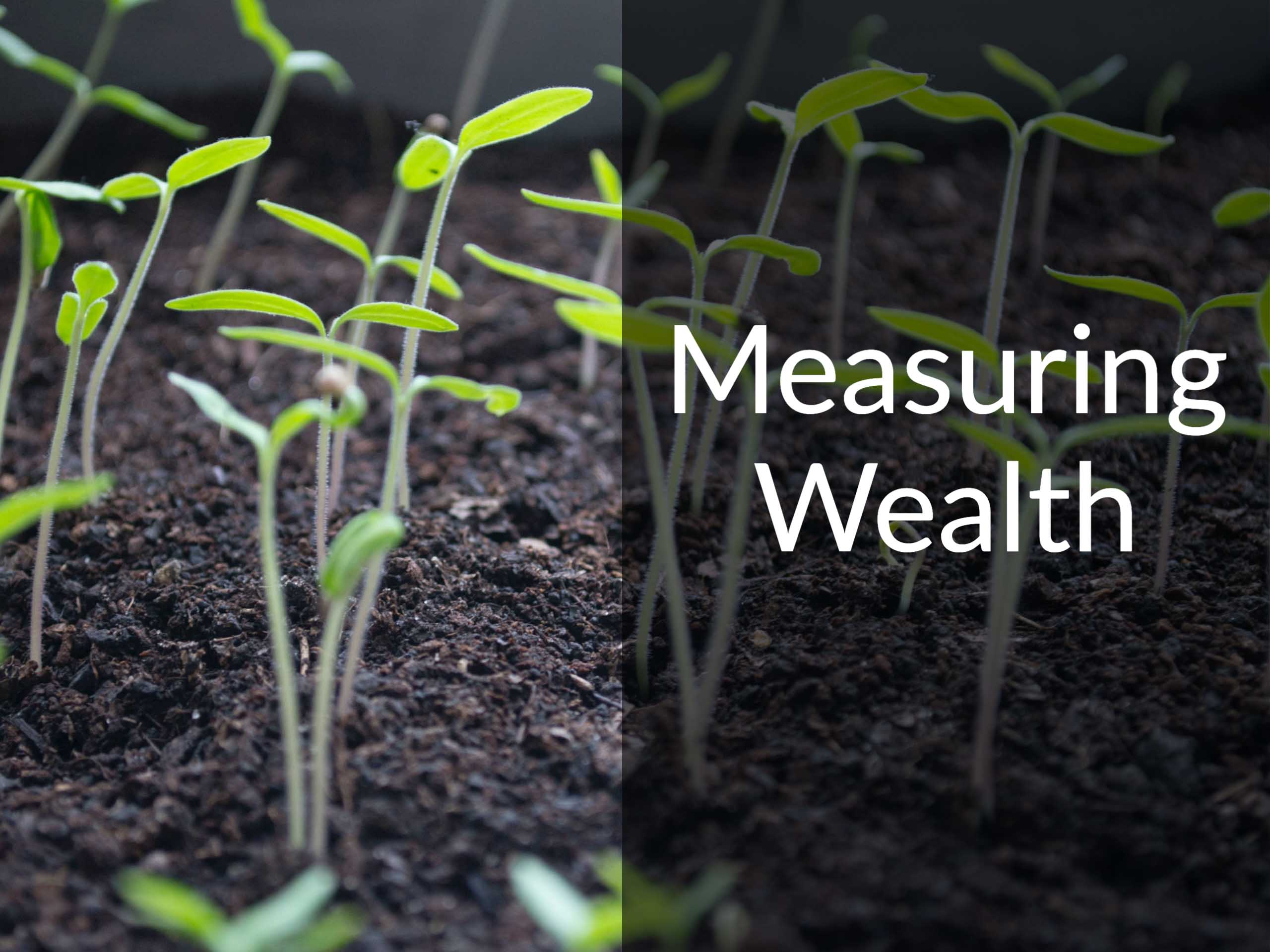 Plants sprouting with a caption that says "Measuring Wealth"