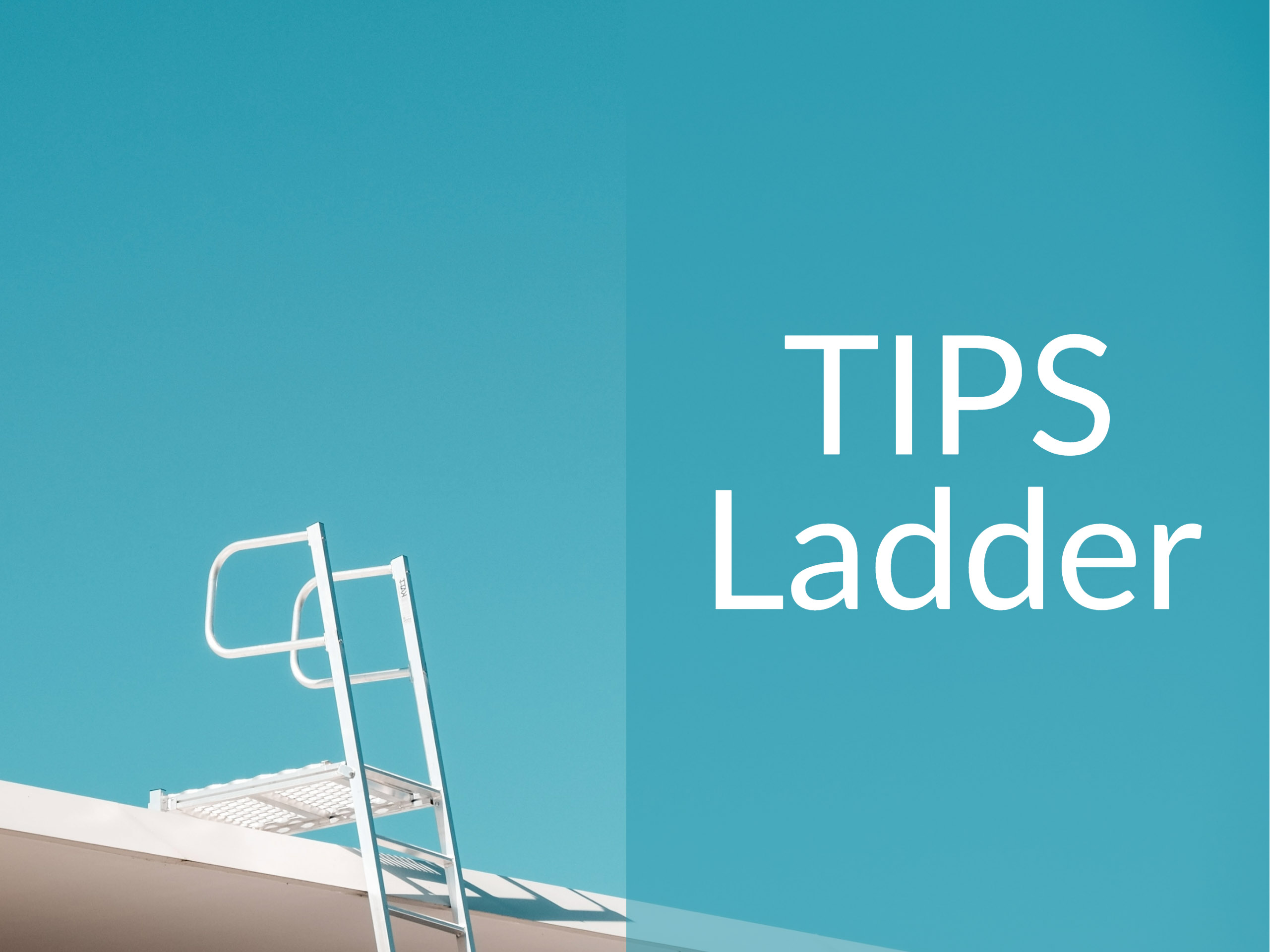 Ladder going up to a roof with the caption "TIPS Ladder"