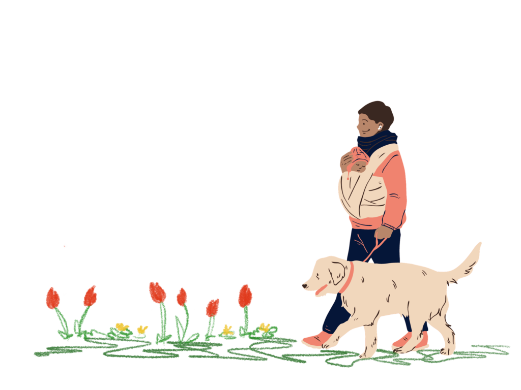Person with swaddled child walking a dog in tulips