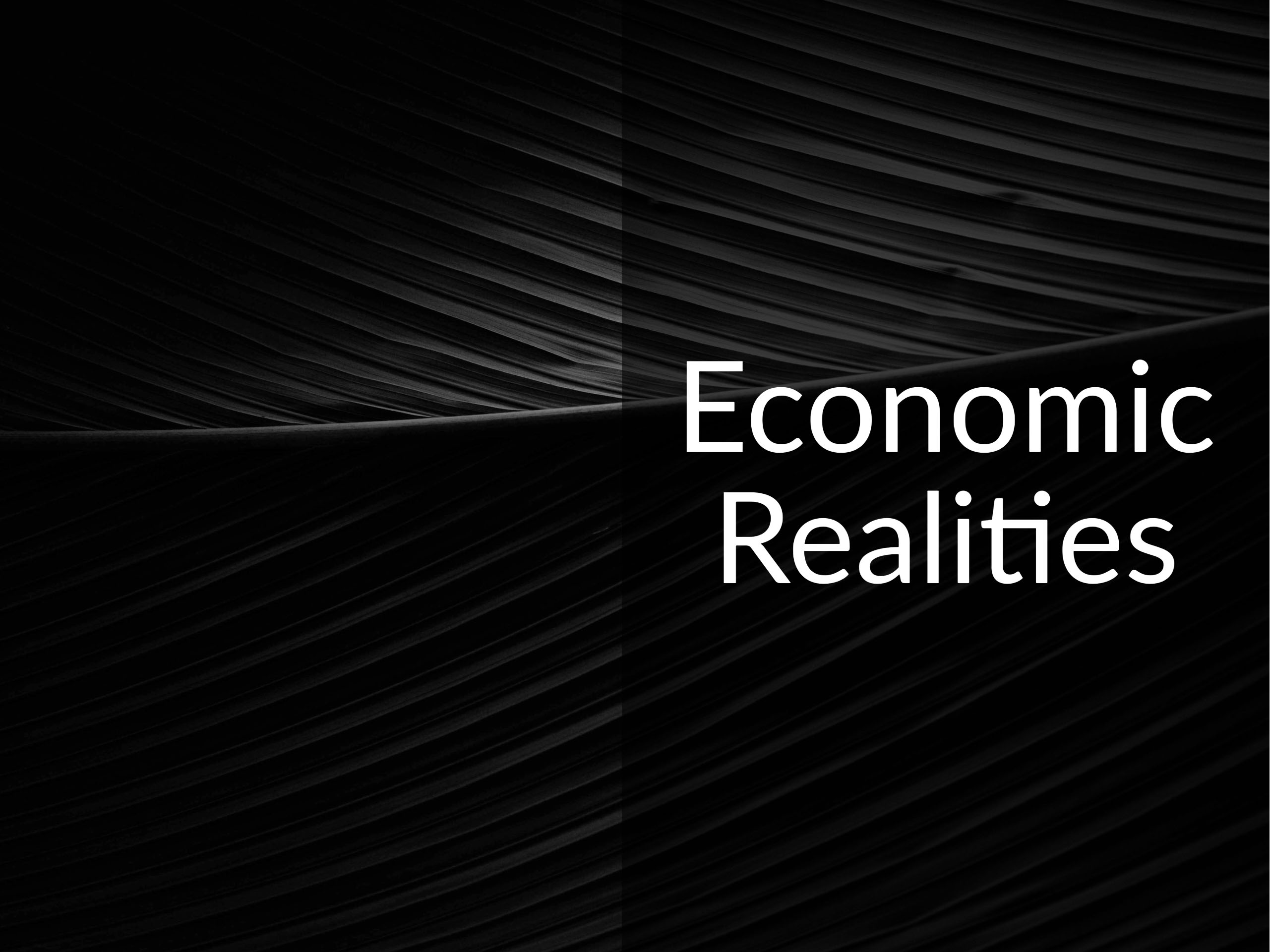 Large dark leaf in monochrome with the caption "Economic Realities"