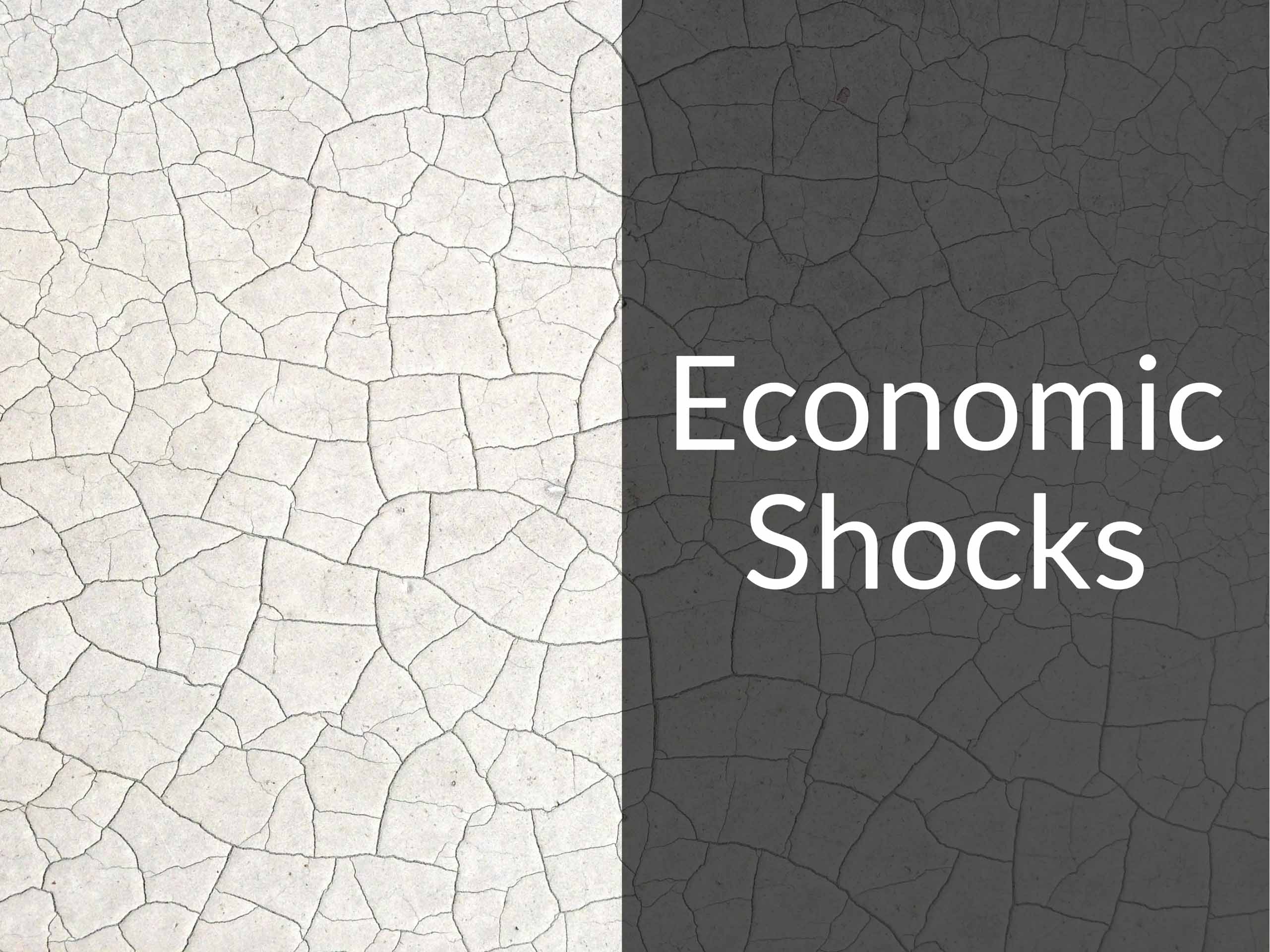 Cracked wall with the caption "Economic Shocks"