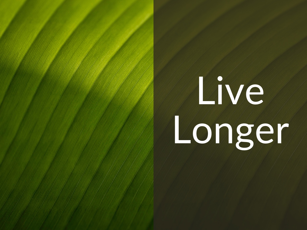 484: 7 Steps to Living a Longer Life