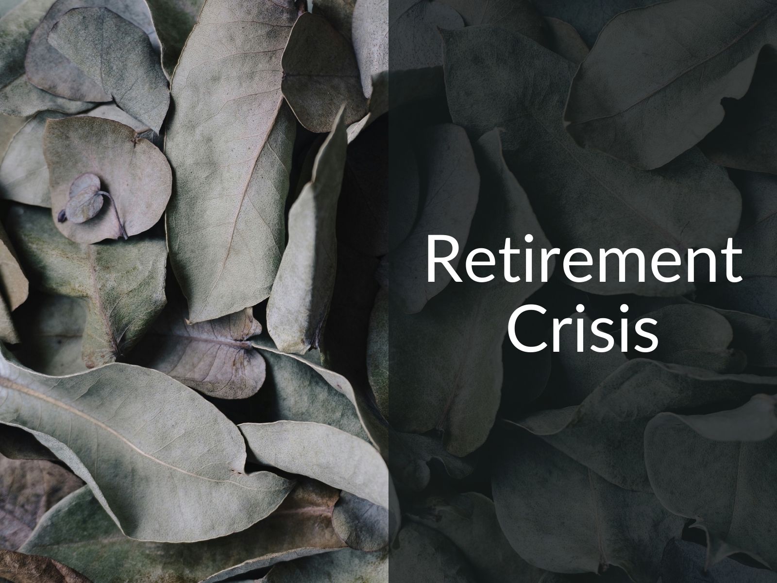 497: How to Fix the Retirement Savings Crisis