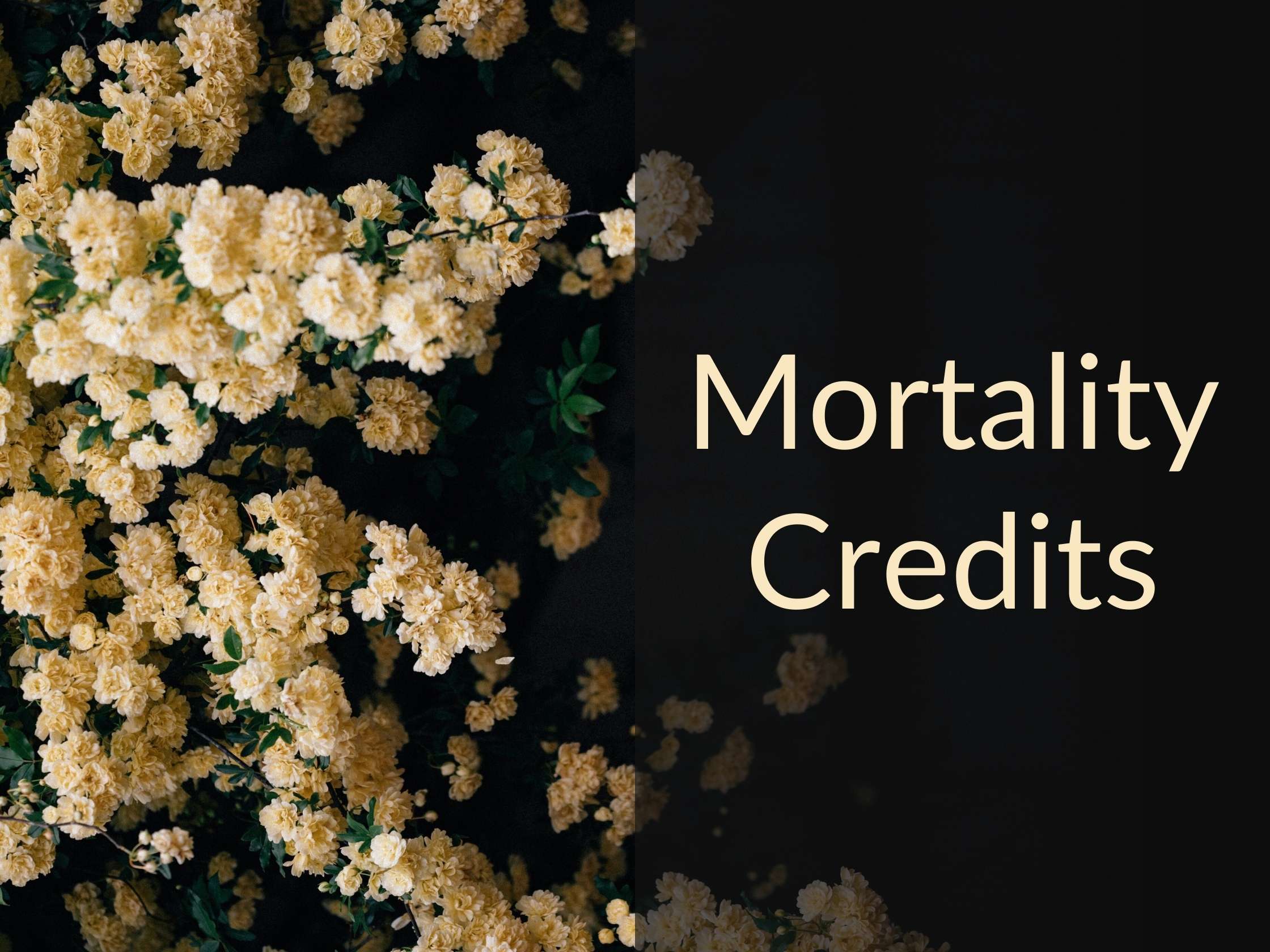 512: Unlocking Hidden Returns—How Mortality Credits Boost Retirement Income