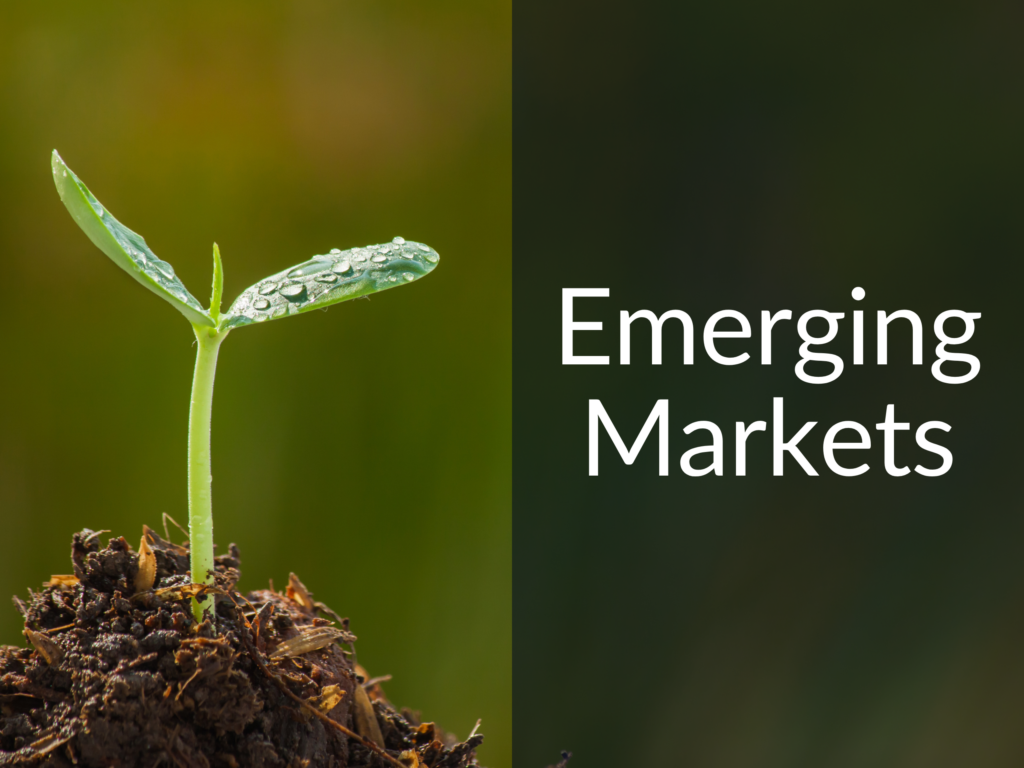 522: Investing in Emerging Markets with Ali Akay