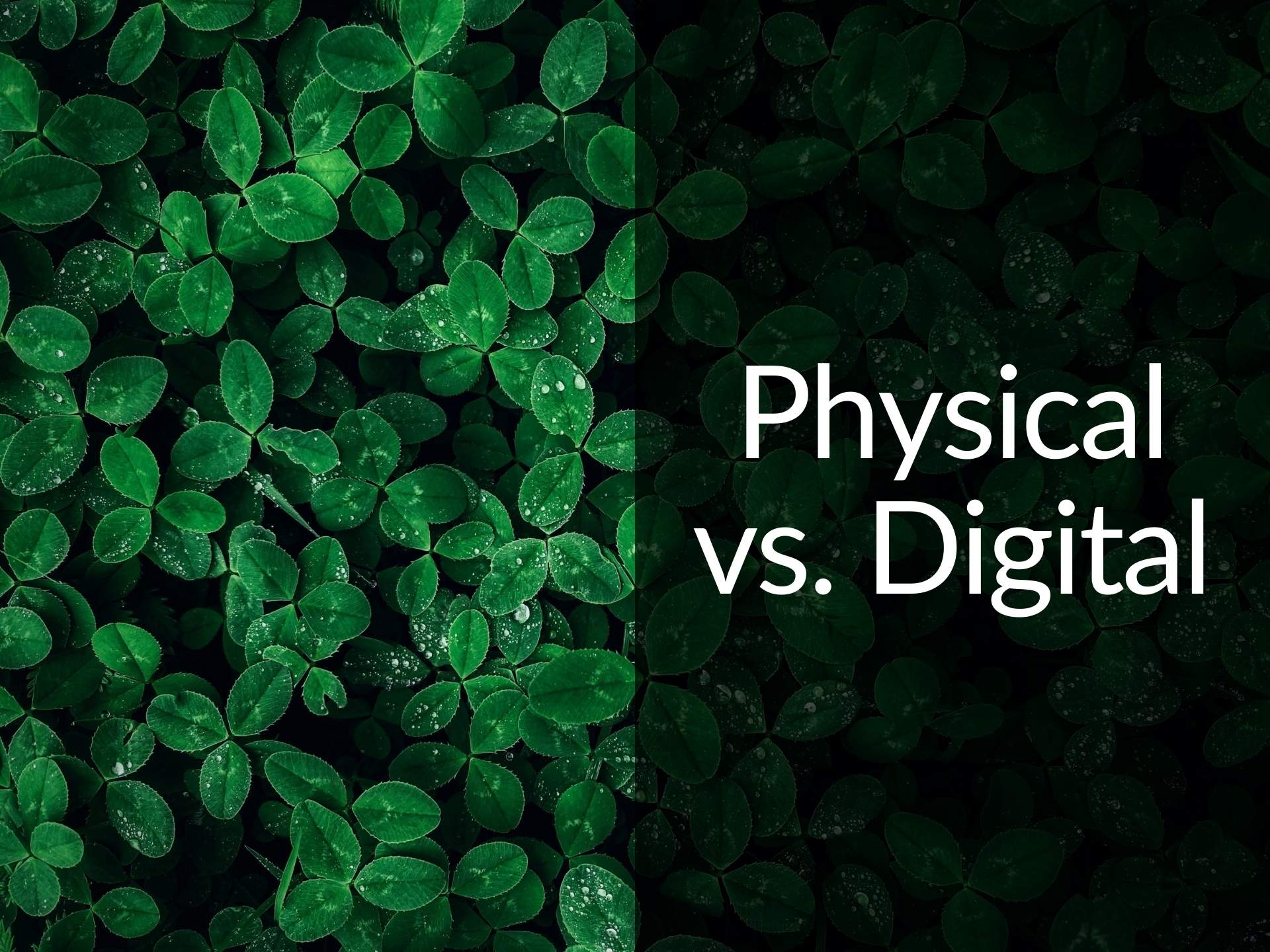 538: Forests, Fakes, and the Fight for the Real